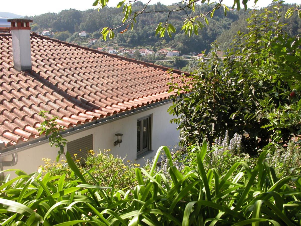 Villa Casa Do Outeiro Penacova Exterior foto